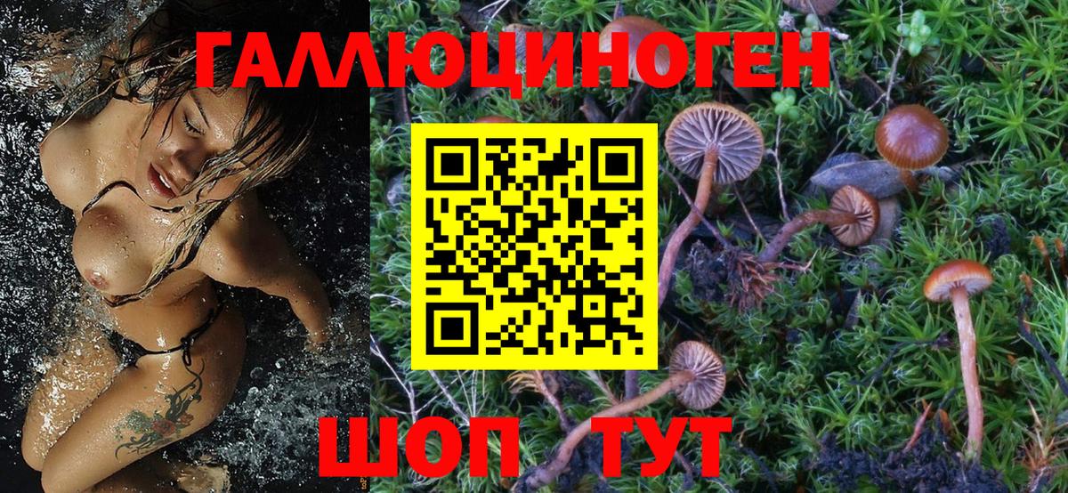 Псилоцибиновые грибы мицелий  Белово 