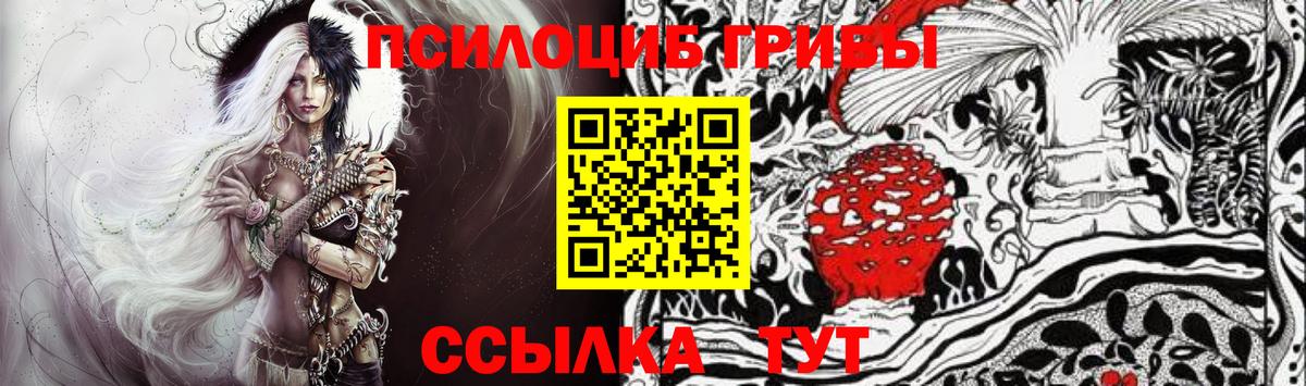 Белово  Псилоцибиновые грибы Psilocybine cubensis  Псилоцибиновые грибы Psilocybe  Вход с VPN 